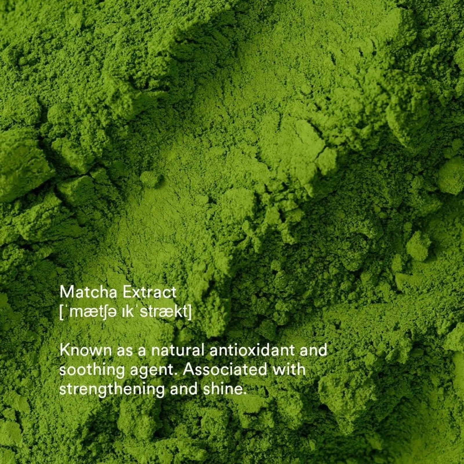 Authentic Beauty Concept Amplify Range Ingredient Matcha Powder