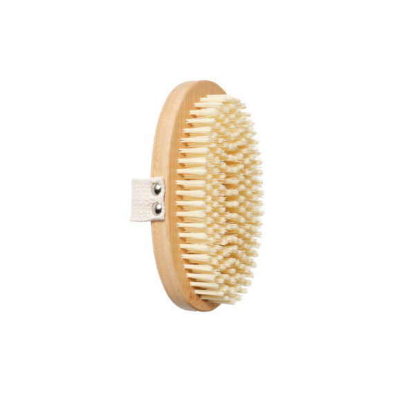 Authentic Beauty Concept dry body brush showing bristles