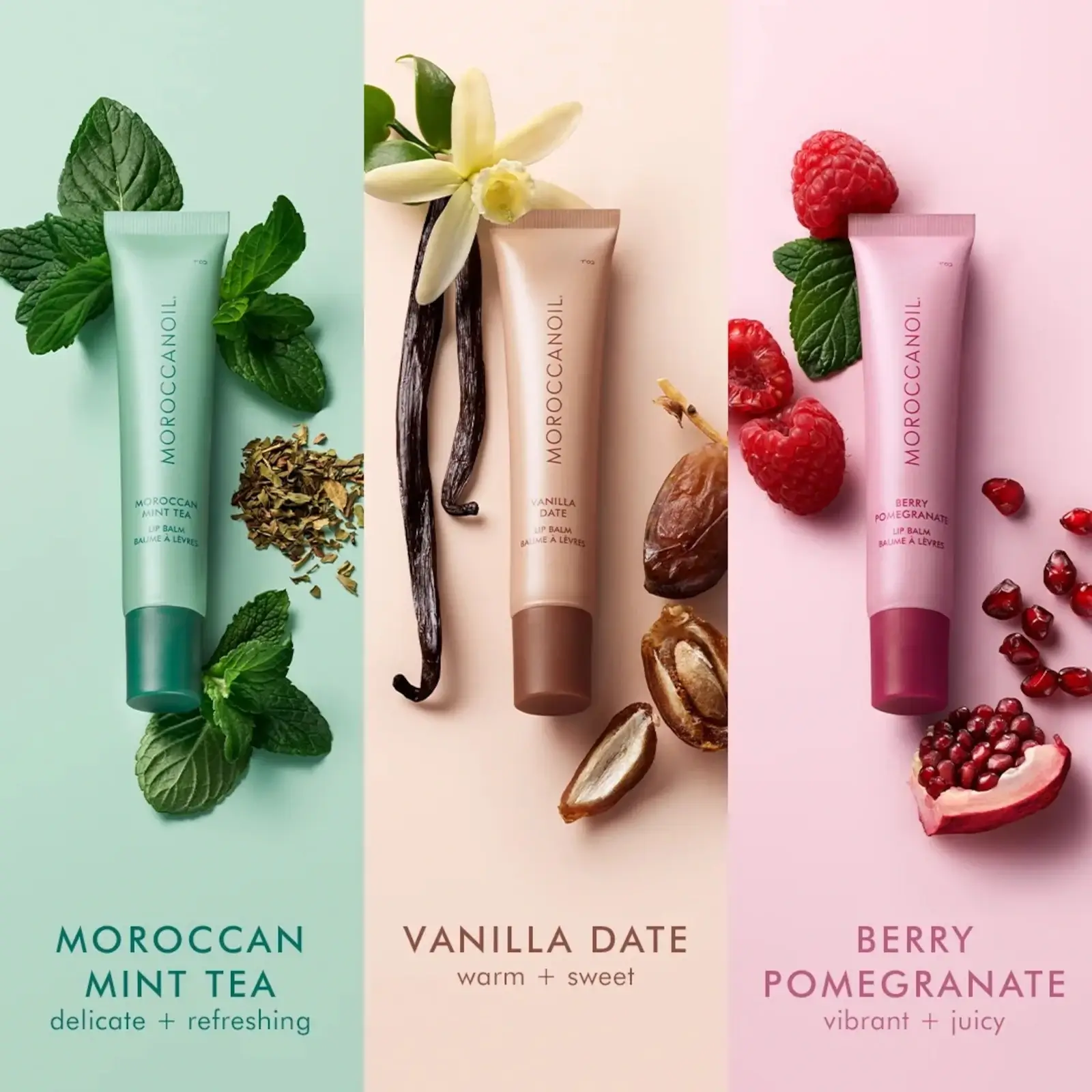 moroccanoil lip balm flavours of moroccan mint tea, vanilla date and berry pomegranate